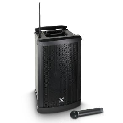 LD Systems ROADMAN 102 B6